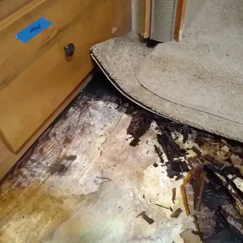 Wood Floor Water Damage in Cordova, AL